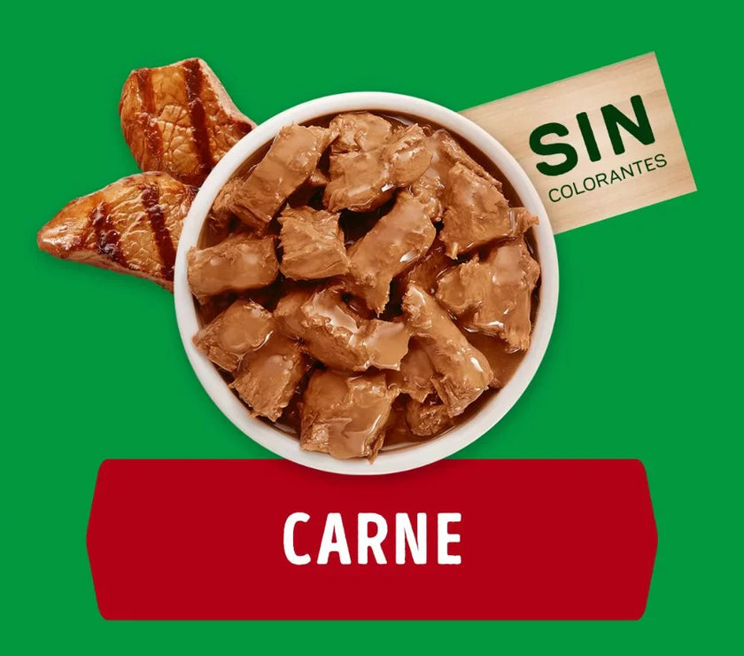 Comida Húmeda Para Perro Dog Chow Todos Los Tamaños Con Carne X 100 GR