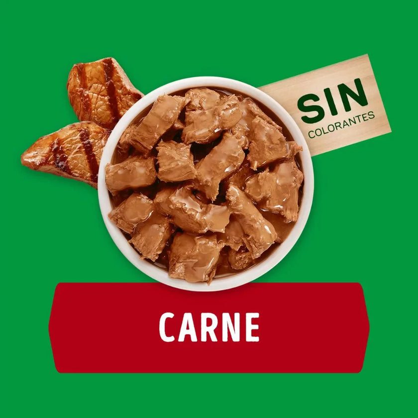 Comida Húmeda Para Perro Dog Chow Todos Los Tamaños Con Carne X 100 GR