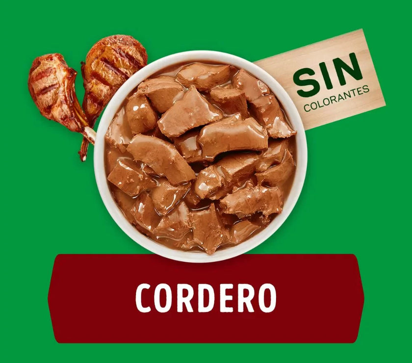 Comida Húmeda Para Perro Dog Chow Todos Los Tamaños Cordero X 100 Gr