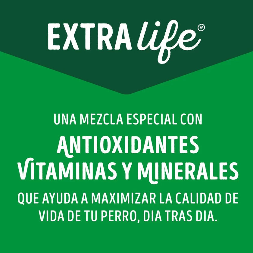 Comida Húmeda Para Perro Dog Chow Todos Los Tamaños Cordero X 100 Gr