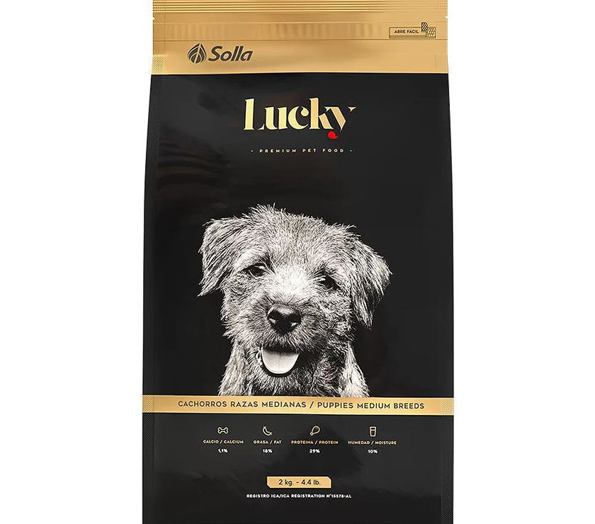 Lucky Cachorros Raza Mediana