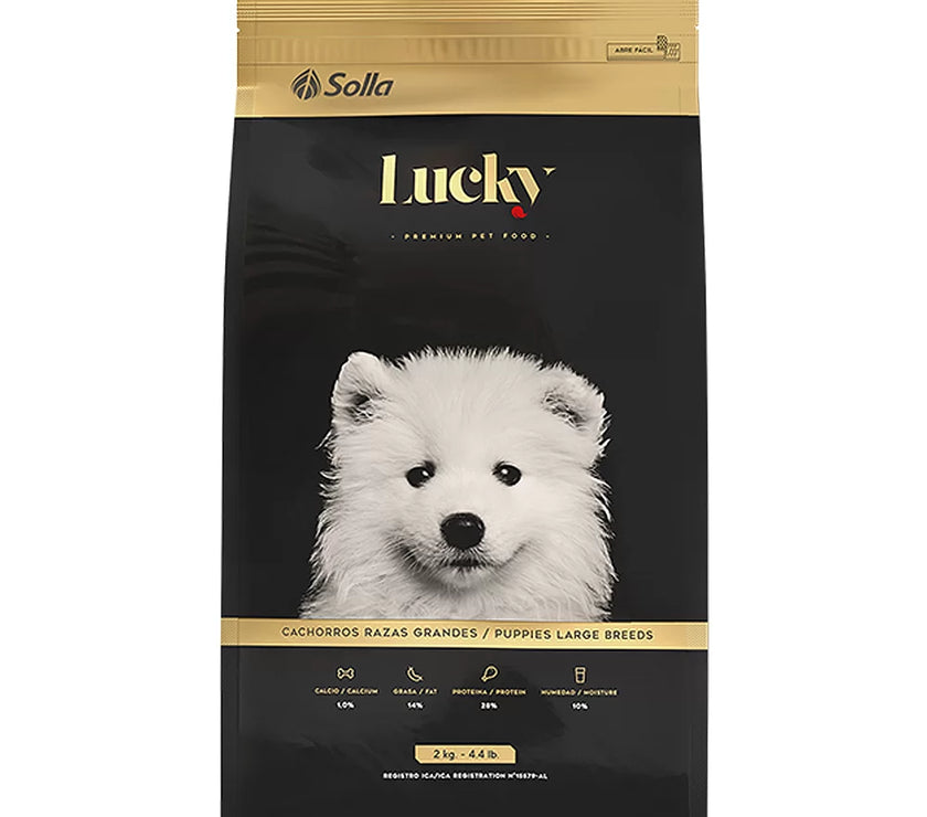 Lucky Cachorros Raza Grande