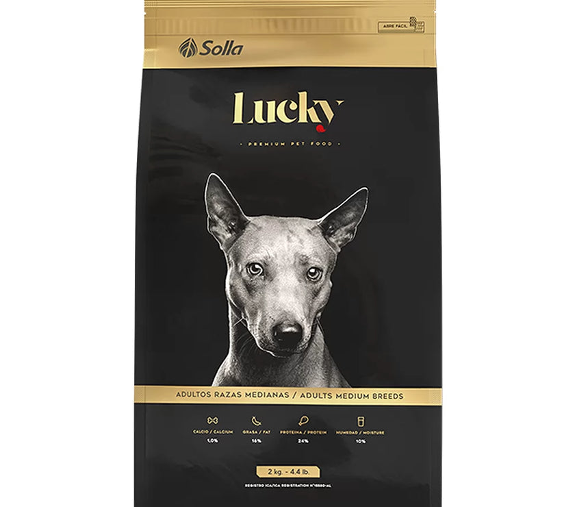 Lucky Adultos Raza Mediana