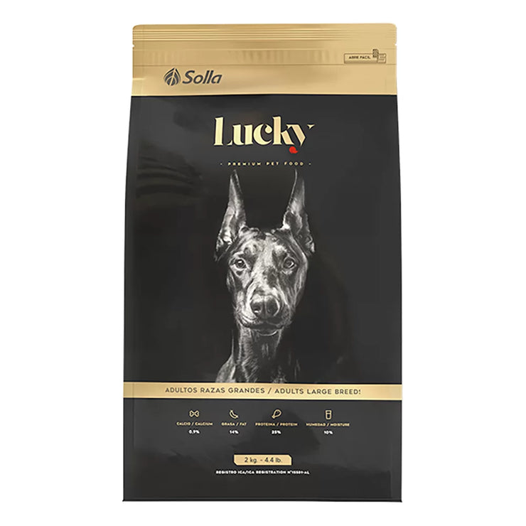 Lucky Adultos Raza Grande