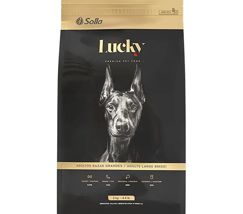 Lucky Adultos Raza Grande