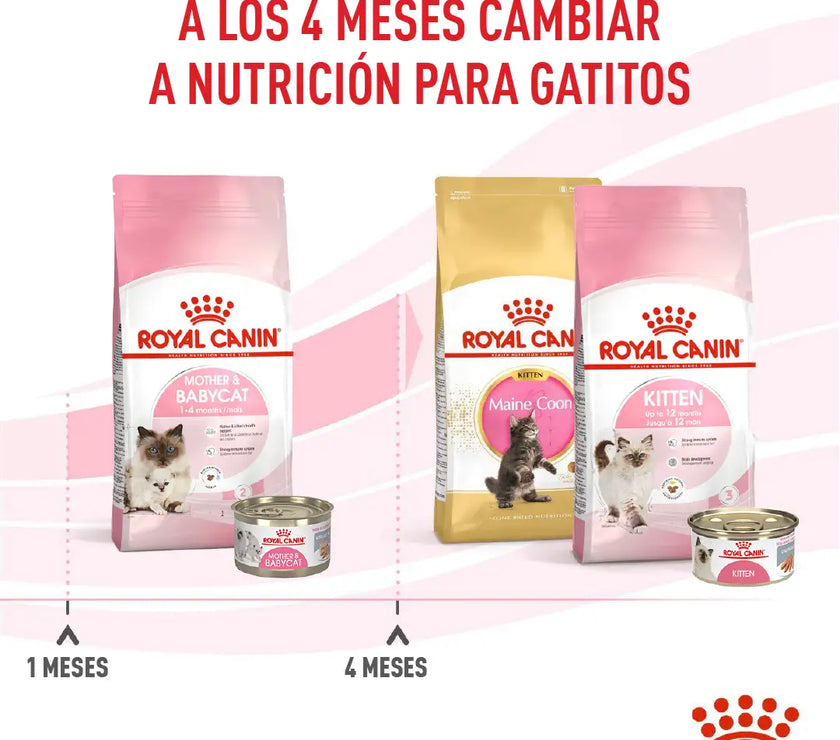 Alimento Royal Canin Fhn Mother&Babycat