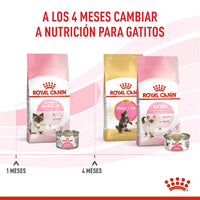 Alimento Royal Canin Fhn Mother&Babycat
