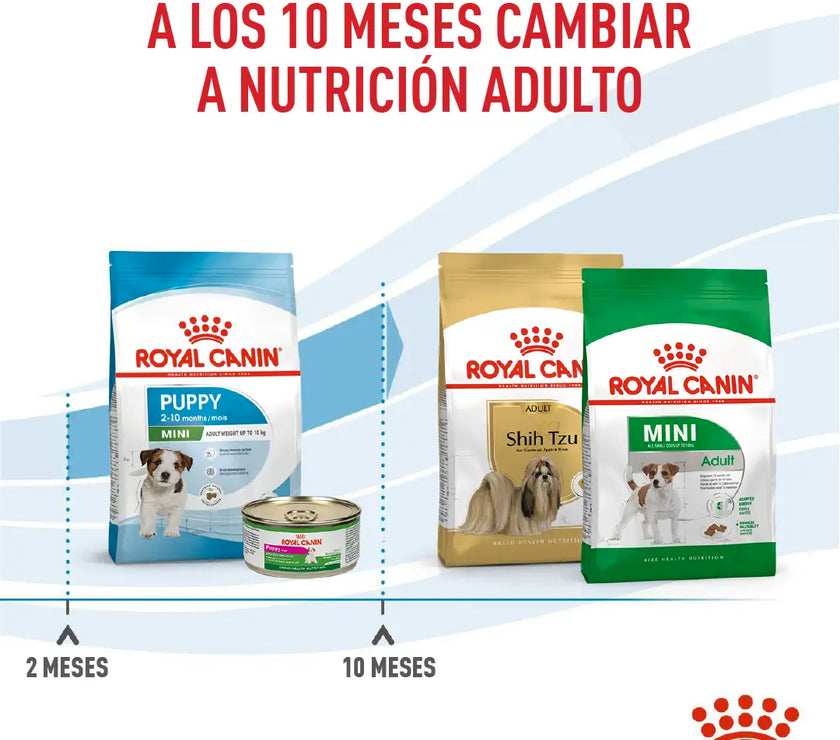 Alimento Royal Canin Shn Mini Puppy