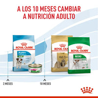 Alimento Royal Canin Shn Mini Puppy