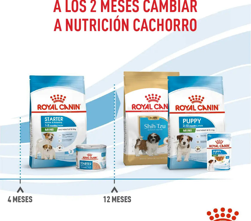 Alimento Royal Canin Shn Mini  Starter Mother & Baby Dog 1Kg