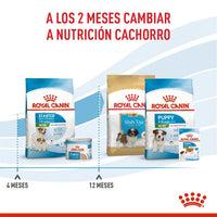 Alimento Royal Canin Shn Mini  Starter Mother & Baby Dog 1Kg