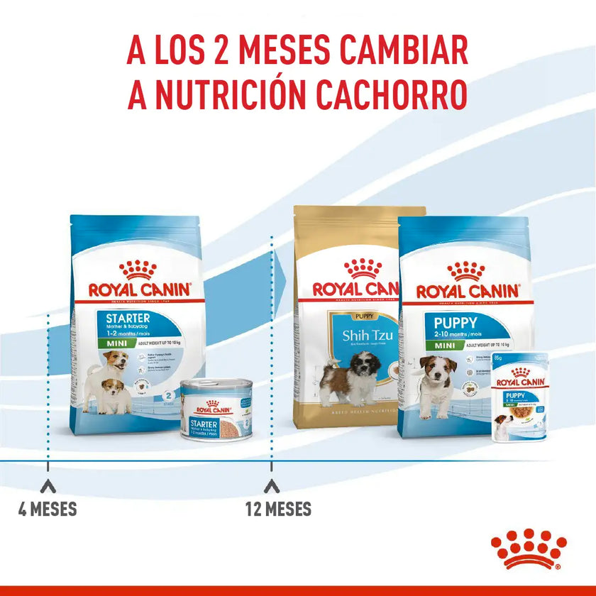 Alimento Royal Canin Shn Mini  Starter Mother & Baby Dog 1Kg