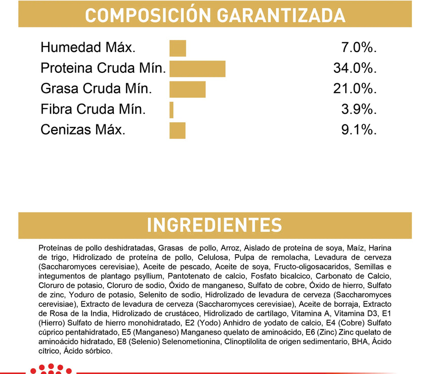 Alimento Royal Canin Fbn Maine Coon Kitten 4 Kg