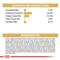 Alimento Royal Canin Fbn Maine Coon Kitten 4 Kg