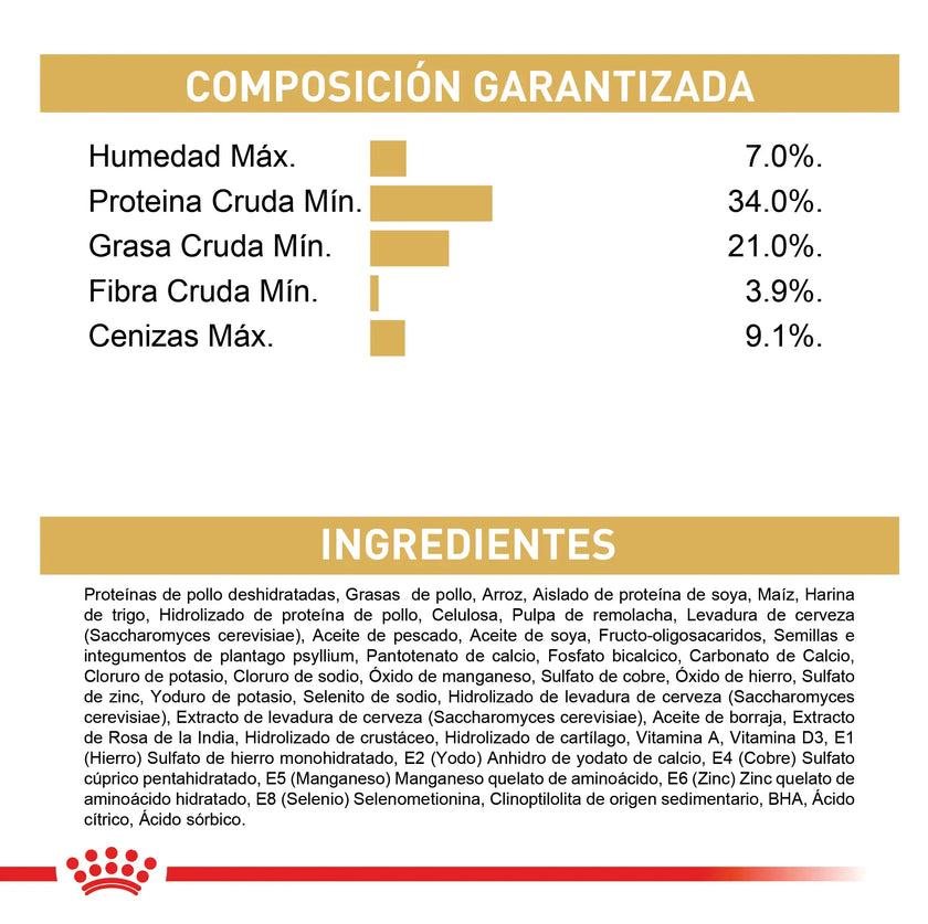 Alimento Royal Canin Fbn Maine Coon Kitten 4 Kg