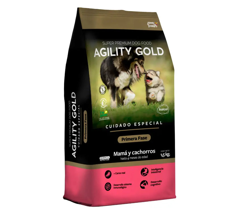 Agility Gold Cachorros Primera Fase