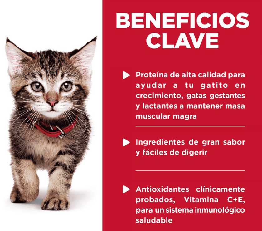 Hill's Sciende Diet Kitten alimento húmedo en pouch para gatito sabor pollo 79g