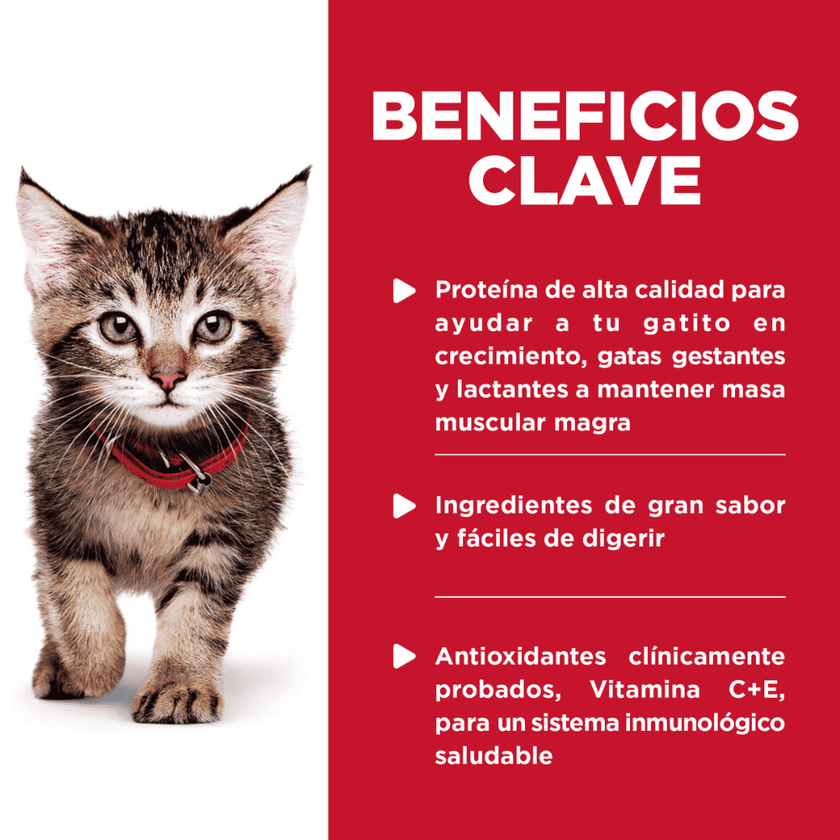 Hill's Sciende Diet Kitten alimento húmedo en pouch para gatito sabor pollo 79g