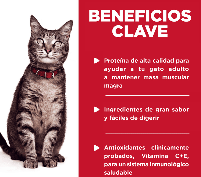 Hill's Science Diet alimento húmedo en pouch para gato adulto sabor pescado 79g