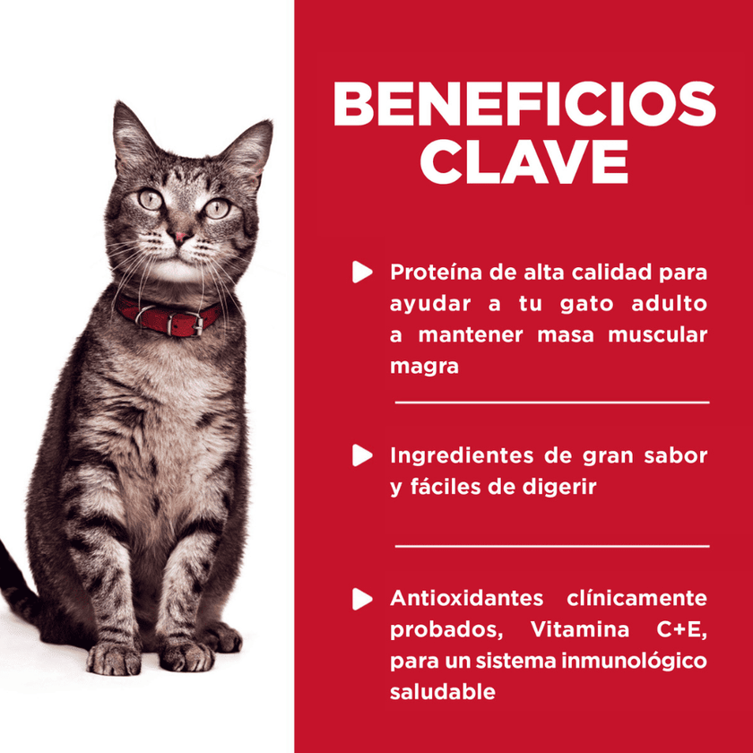 Hill's Science Diet alimento húmedo en pouch para gato adulto sabor pescado 79g