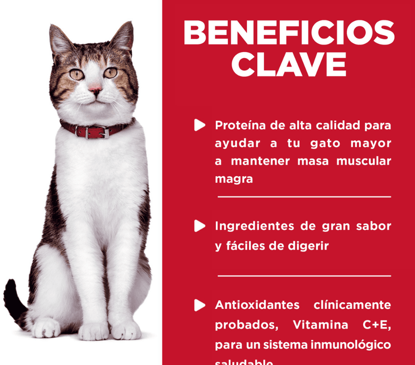 Hill's Science Diet Adult 7+ pouch alimento húmedo gato senior pollo 79g