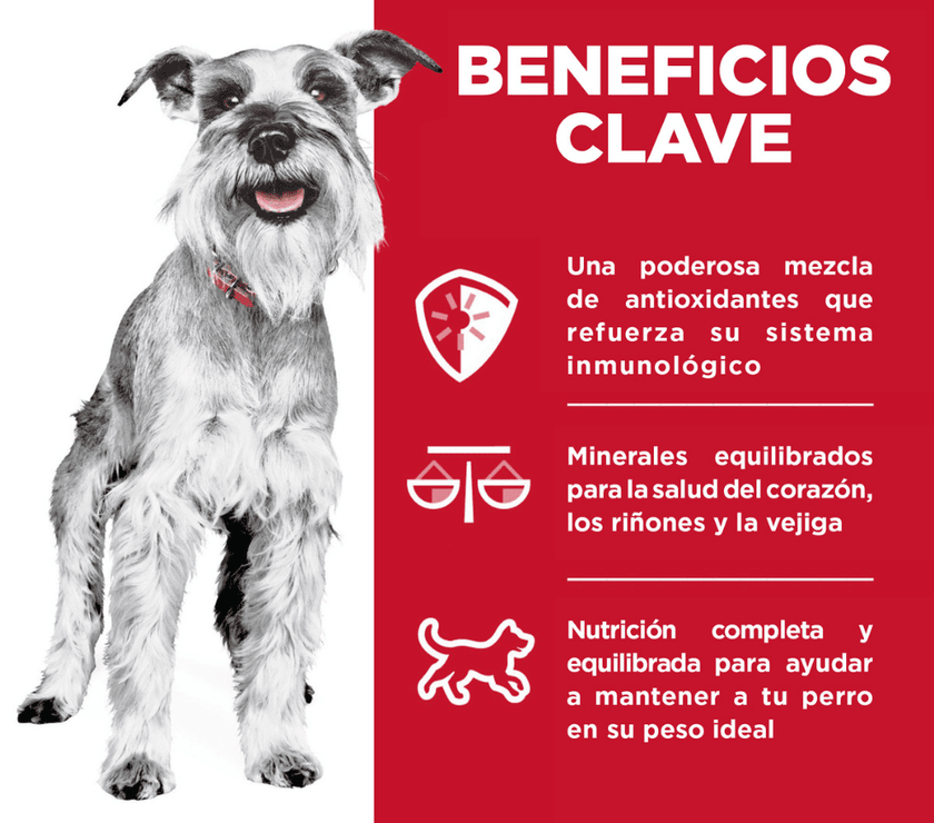 Hill's Science Diet Adult 7+ alimento húmedo para perro senior raza pequeña pollo 99g