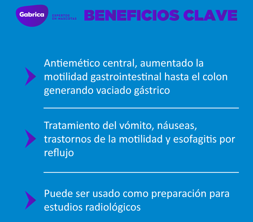 Pileran Antiémetico Perros y Gatos 20ml