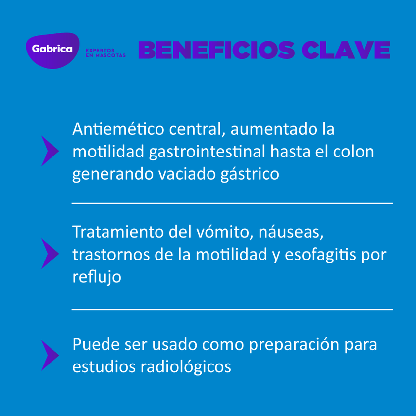Pileran Antiémetico Perros y Gatos 20ml