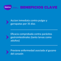 Desparasitante Interno Y Externo Para Perro Simparica Trio x1 Tableta
