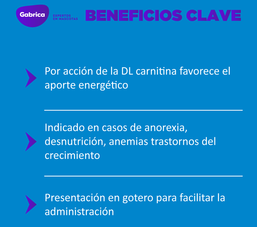 Apetil estimulante del apetito para perros y gatos 10 ml