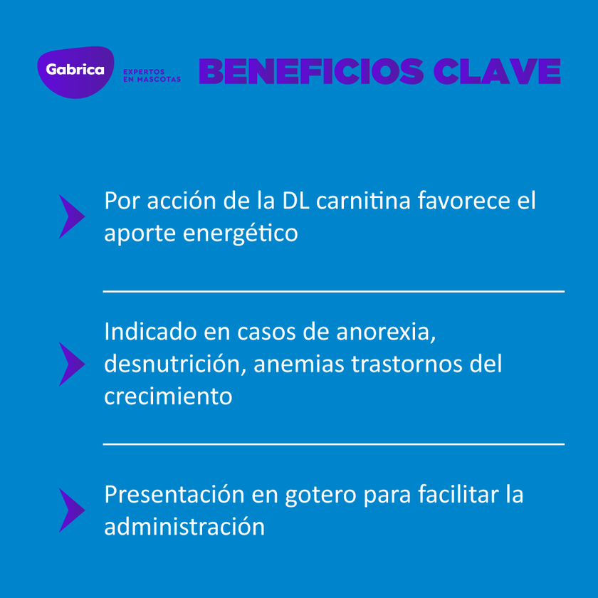 Apetil estimulante del apetito para perros y gatos 10 ml