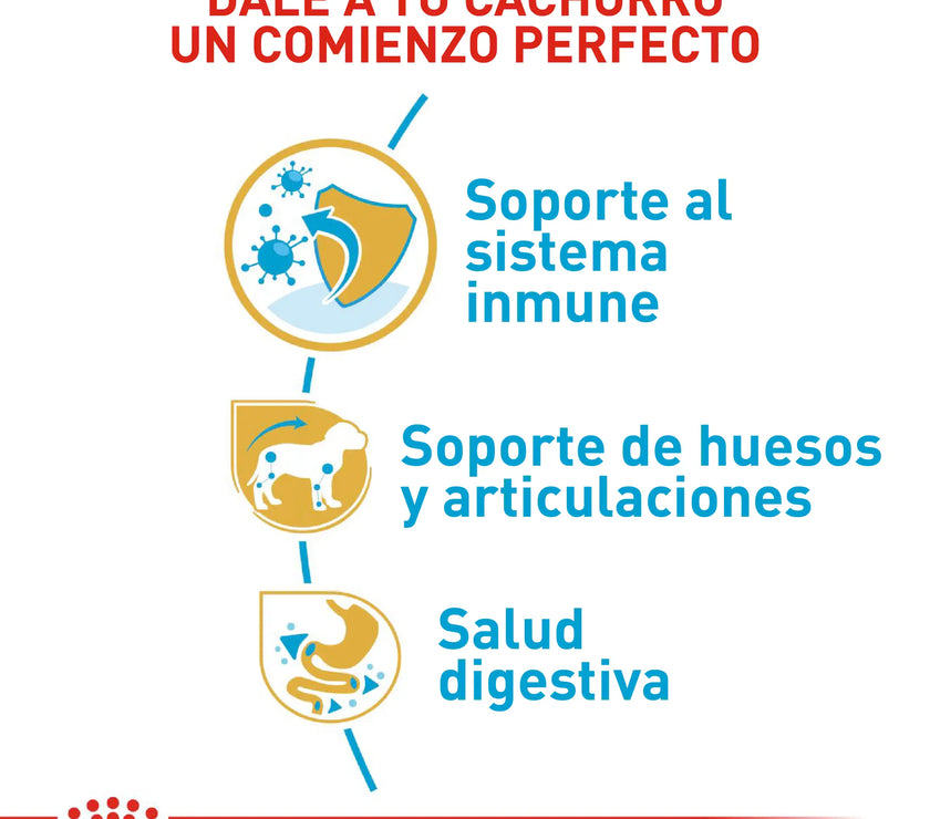 Alimento Royal Canin Bhn Dachshund Puppy  x 1.13 Kg