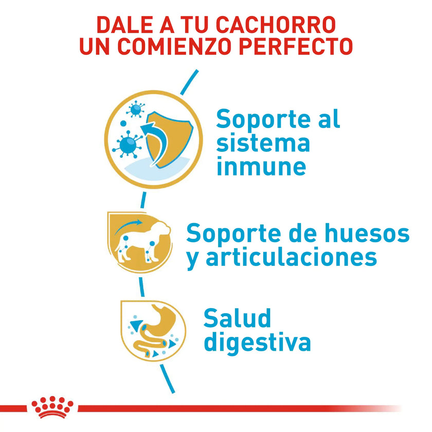 Alimento Royal Canin Bhn Dachshund Puppy  x 1.13 Kg