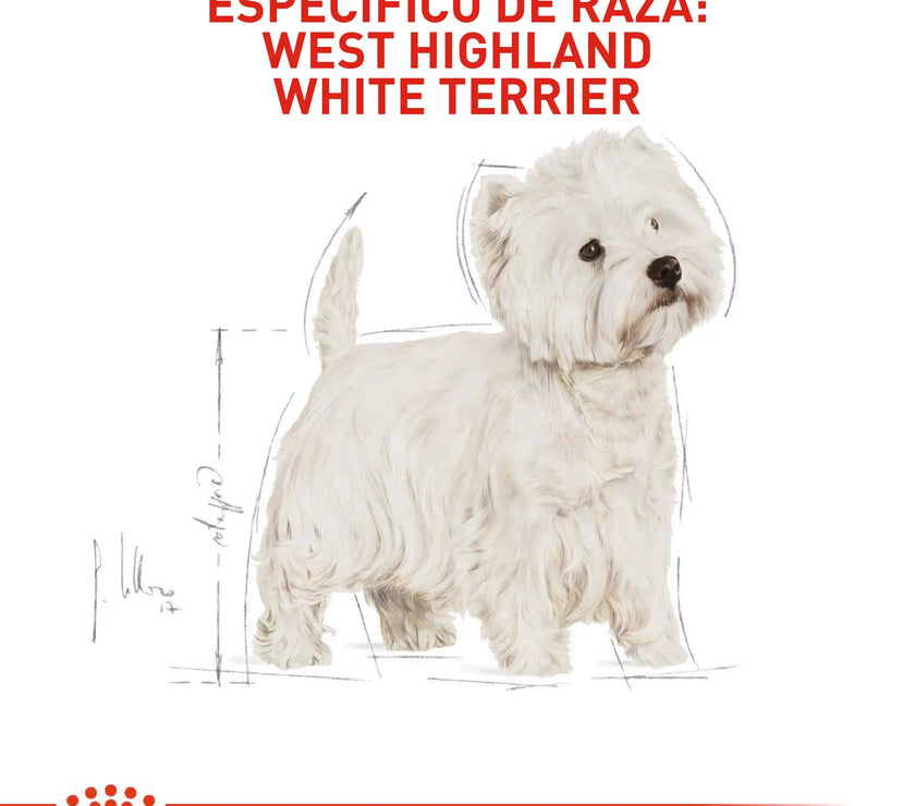 Alimento Royal Canin Bhn West Highland Terrier Adulto x 3 Kg