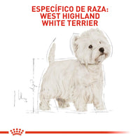 Alimento Royal Canin Bhn West Highland Terrier Adulto x 3 Kg