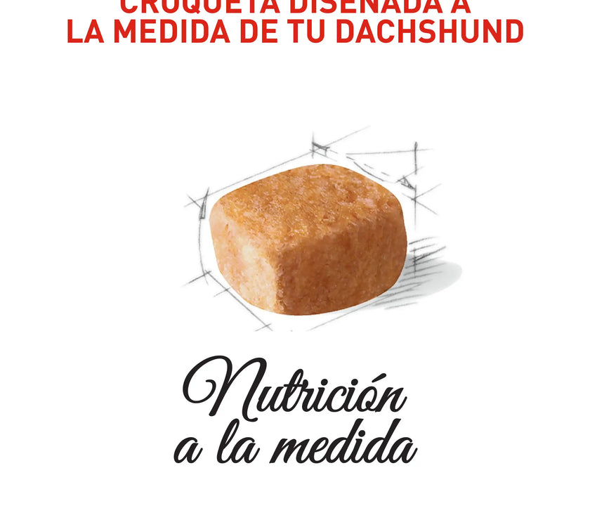 Alimento Royal Canin Bhn Dachshund Puppy  x 1.13 Kg