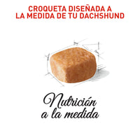 Alimento Royal Canin Bhn Dachshund Puppy  x 1.13 Kg