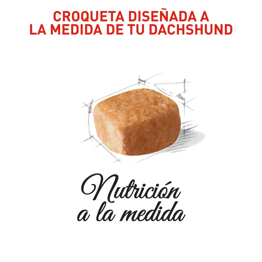 Alimento Royal Canin Bhn Dachshund Puppy  x 1.13 Kg
