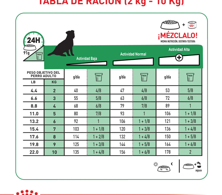 Alimento Royal Canin Shn Mini  Adulto