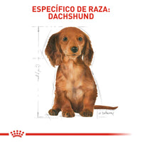 Alimento Royal Canin Bhn Dachshund Puppy  x 1.13 Kg