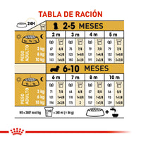 Alimento Royal Canin Bhn Dachshund Puppy  x 1.13 Kg