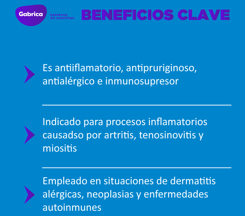 Atriben Antiinflamatorio Perros y Gatos 20ml