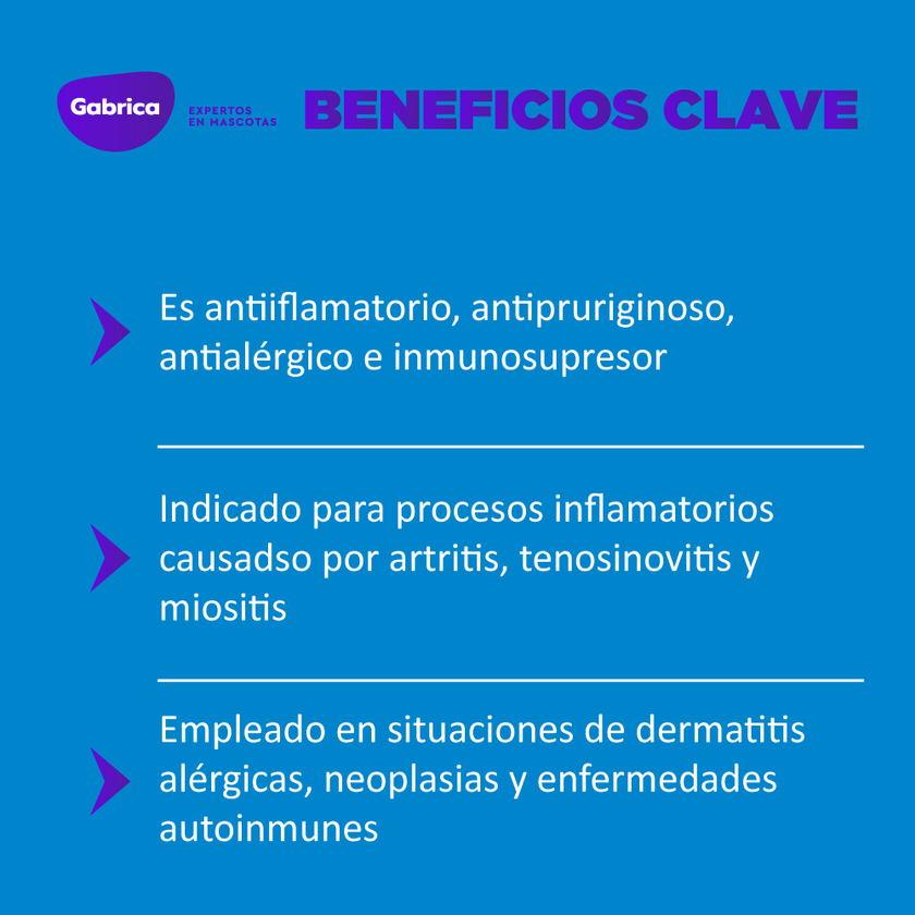 Atriben Antiinflamatorio Perros y Gatos 20ml