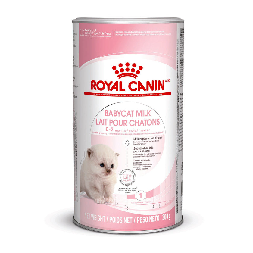 ROYAL CANIN  BABYCAT MILK X 300 GR