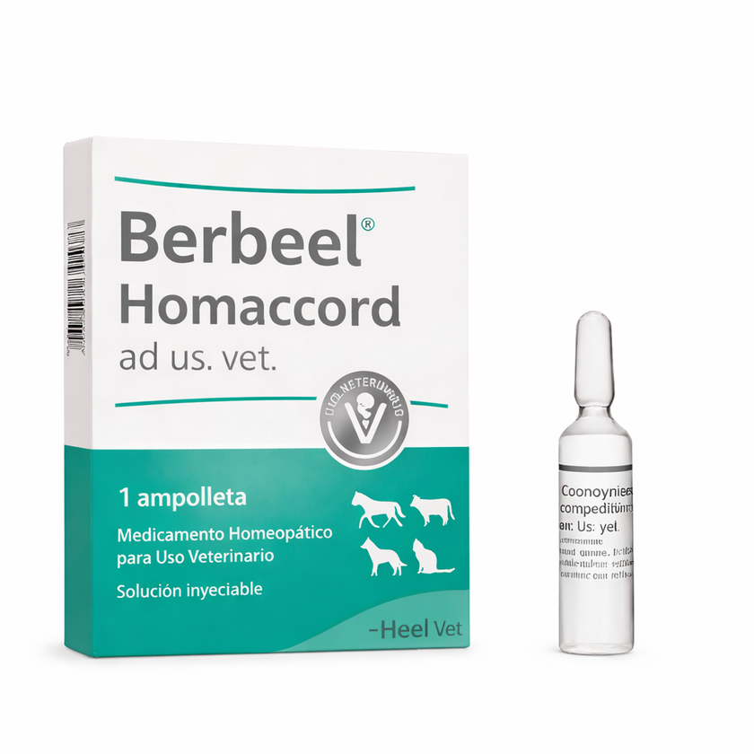 BERBEEL HOMACCORD AD US VET AMPOLLA - Heel