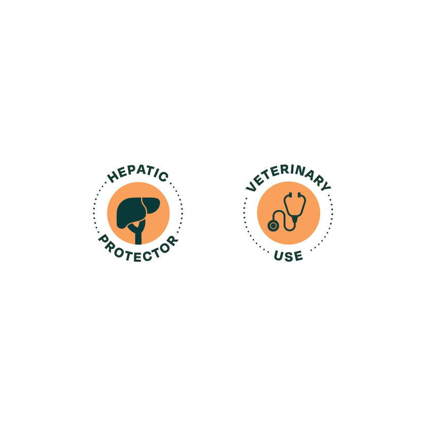 Bonnat Veterinary Diet Canine Hepatic Suport