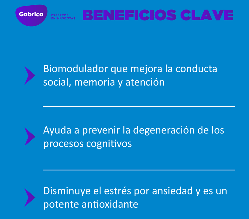 Biomodulador IQ 180 para Perros y Gatos 21 comprimidos