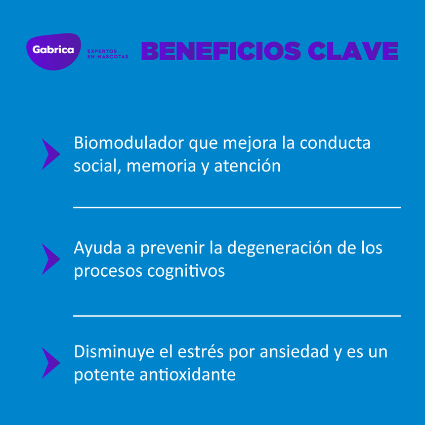 Biomodulador IQ 180 para Perros y Gatos 21 comprimidos
