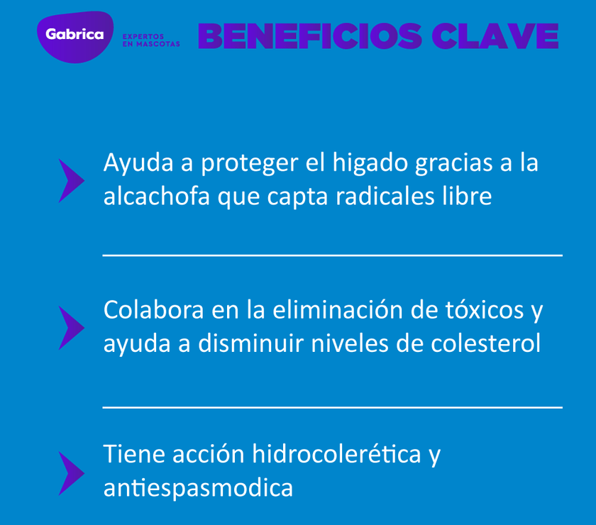 Hepatoprotector para Perros Proteliv 21 comprimidos