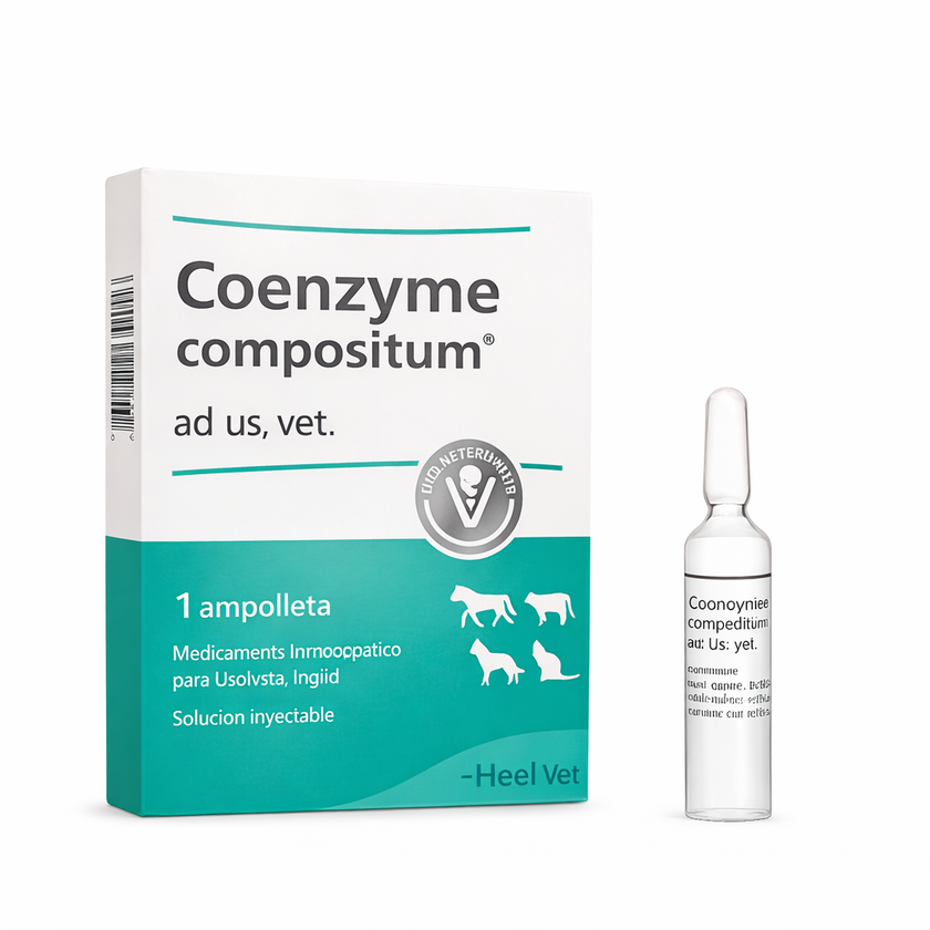 COENZYME COMPOSITUM AD US VET AMPOLLA - Heel
